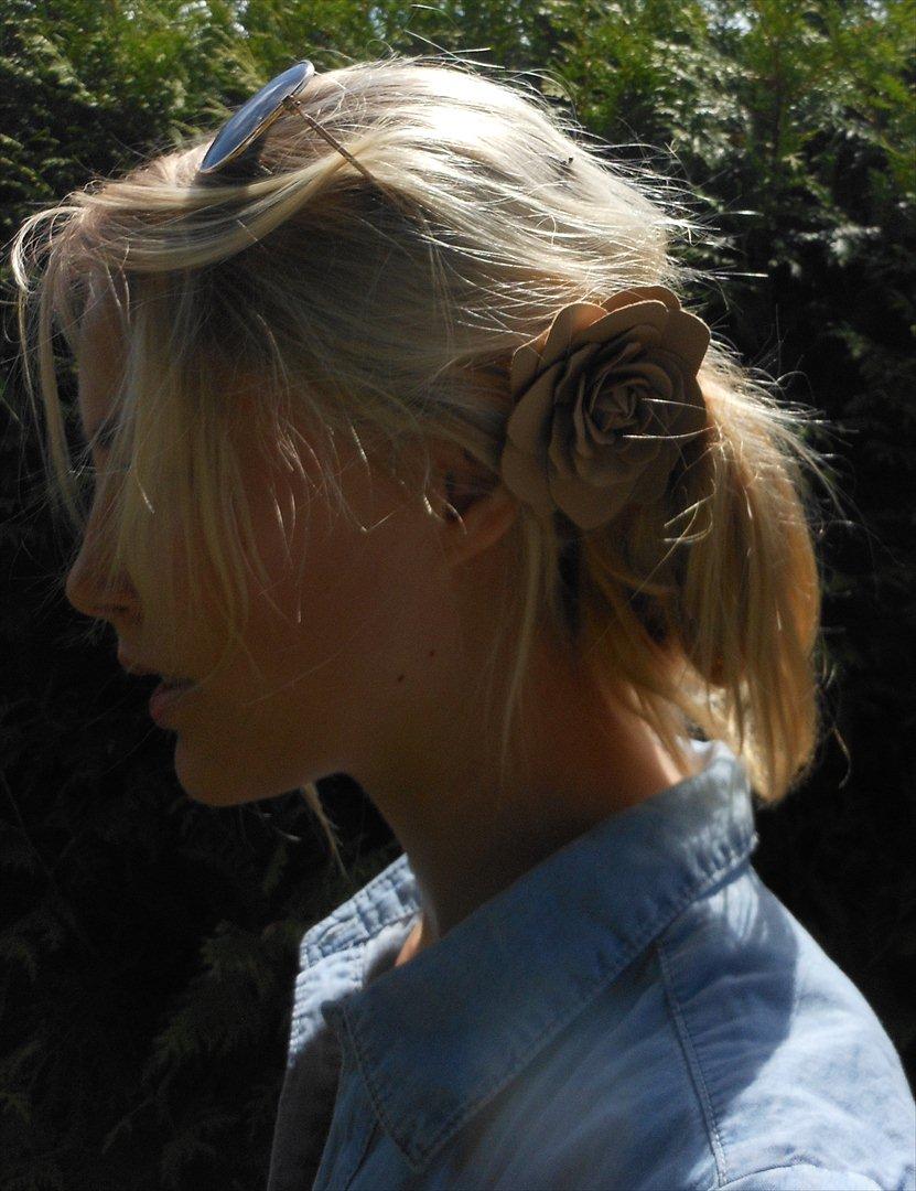 Sofie Andersen - opdateret 18-12-2012 billede 2