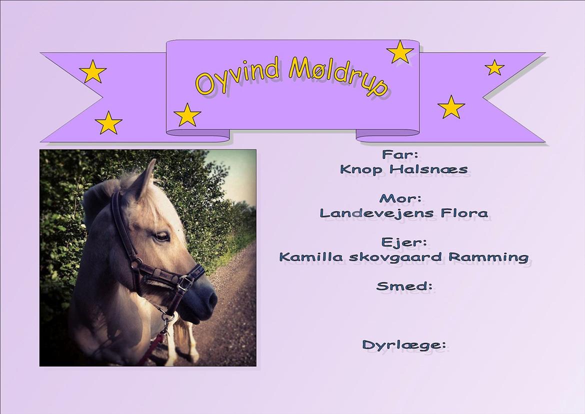 Boksskilte billede 3