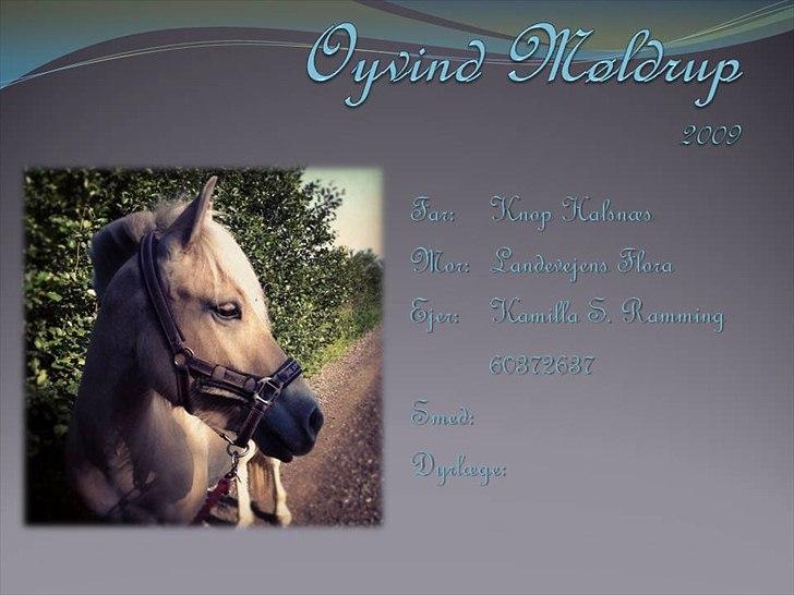 Boksskilte billede 2