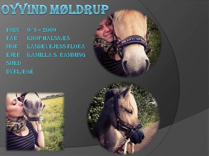 Boksskilte billede 1