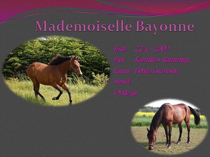 Boksskilte billede 4