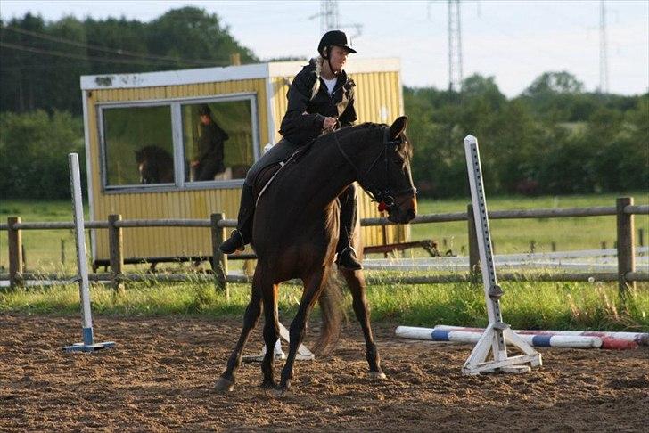 Alle heste jeg har redet i mit liv. <3 - Brøderups Brisinge
Ukendt
Her er en sød lille hoppe kaldet Brisinge, hende red jeg meget lidt, men dog lidt alligevel, her rider en sød dejlig pige kaldet Mia Gutfeld på hende, på en linjefagstur med Brøderup Ungdomsskole, hvor jeg har gået i 2011-2012
Brisinge er en sød, men lynhurtig lille hoppe og hun er meget svær, men kan godt gå ordenligt med hoved og bære med ryggen. billede 23