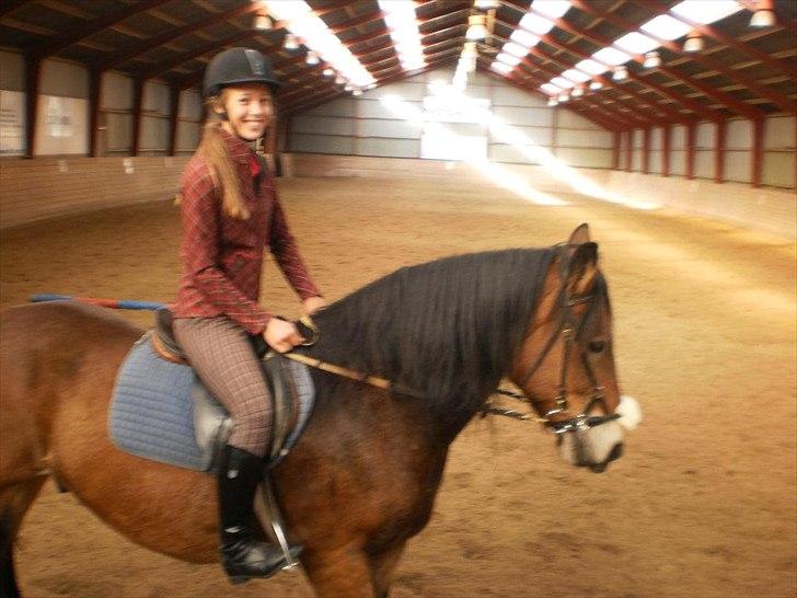 Alle heste jeg har redet i mit liv. <3 - Dan Gustav
Nordsvensk brugshest
Gustav står på VOSK-vordingborg sportsrideklub som hest til handicapridning. Han er lidt stiv da han jo ikke bliver redet dressur, men han er sød.. Dejlig turhest også. billede 33