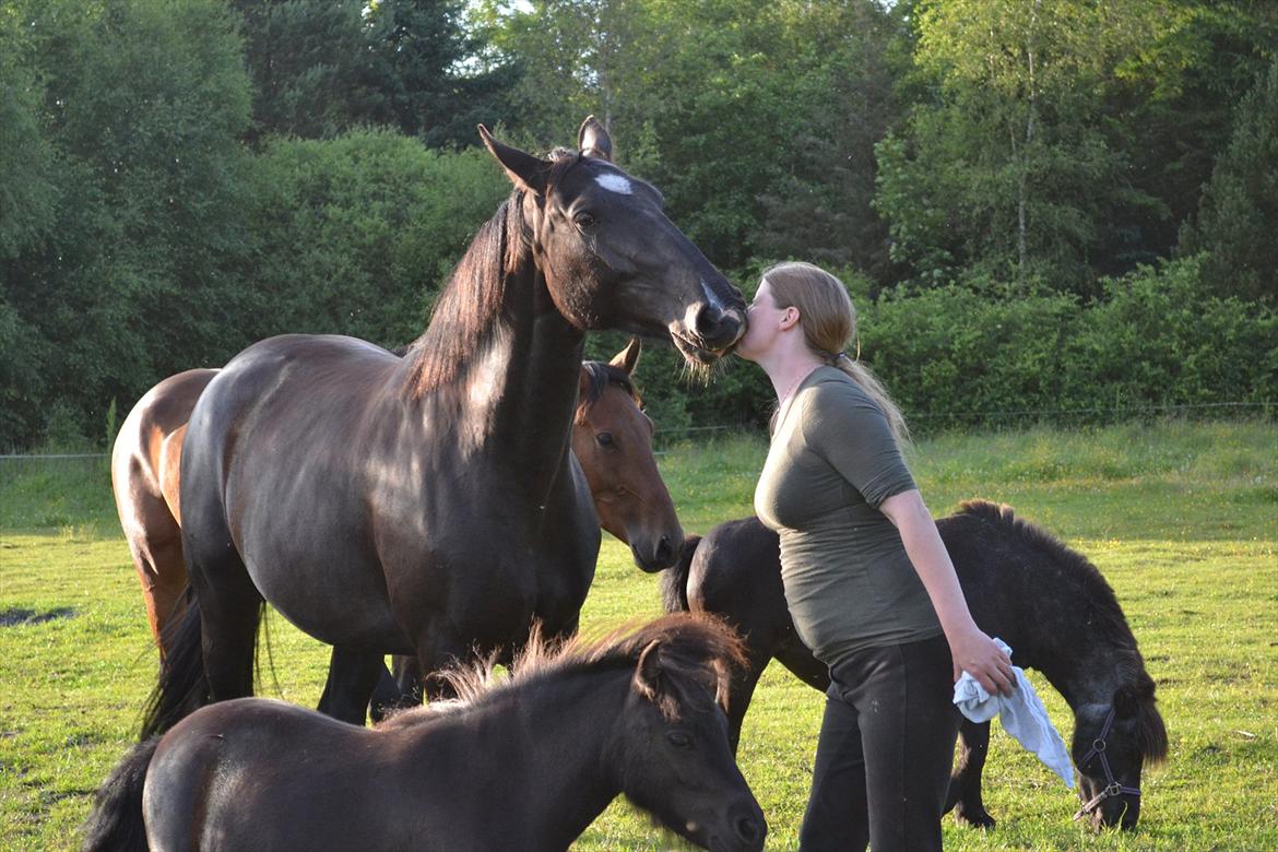 montana nye hjem i simmelkær billede 58