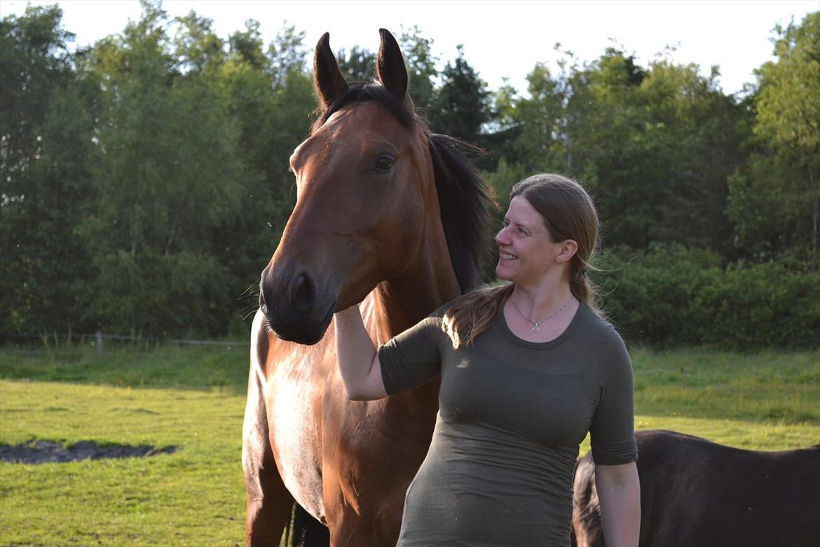 montana nye hjem i simmelkær billede 59