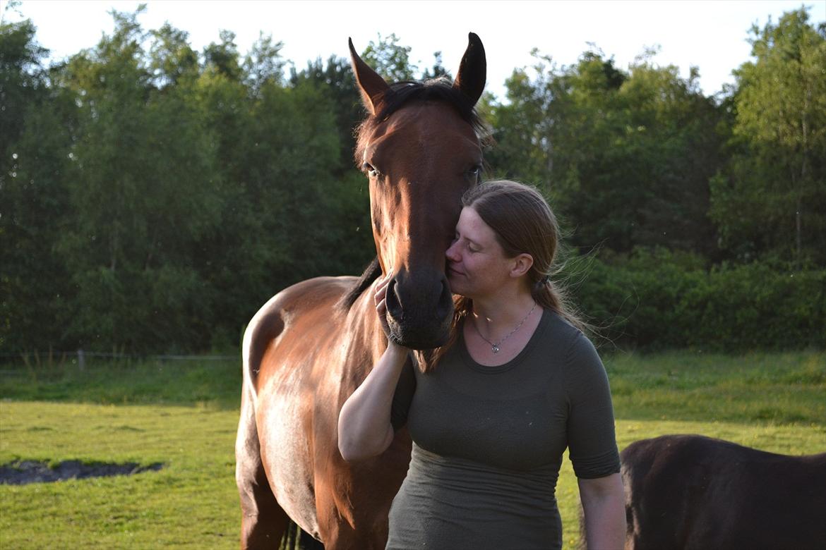 montana nye hjem i simmelkær billede 60