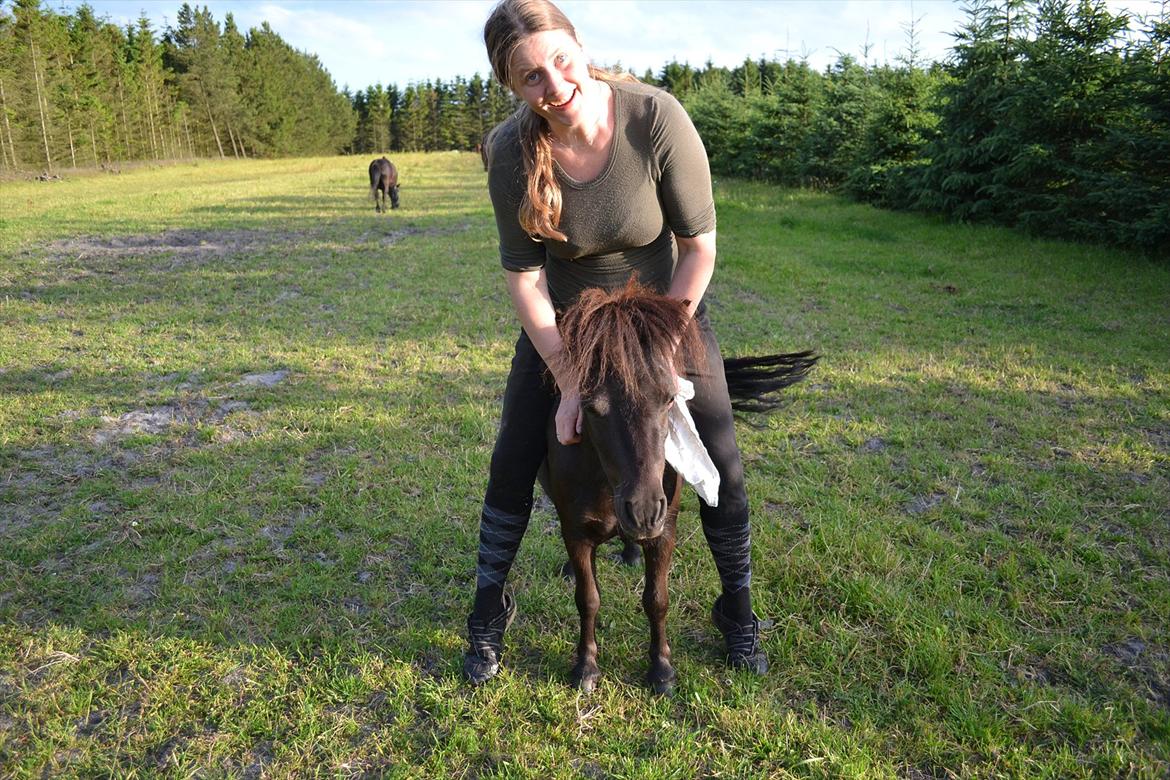 montana nye hjem i simmelkær billede 62