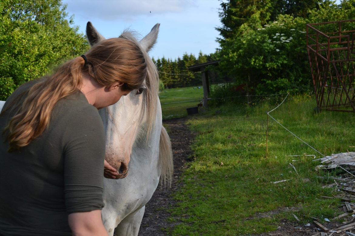 montana nye hjem i simmelkær billede 68