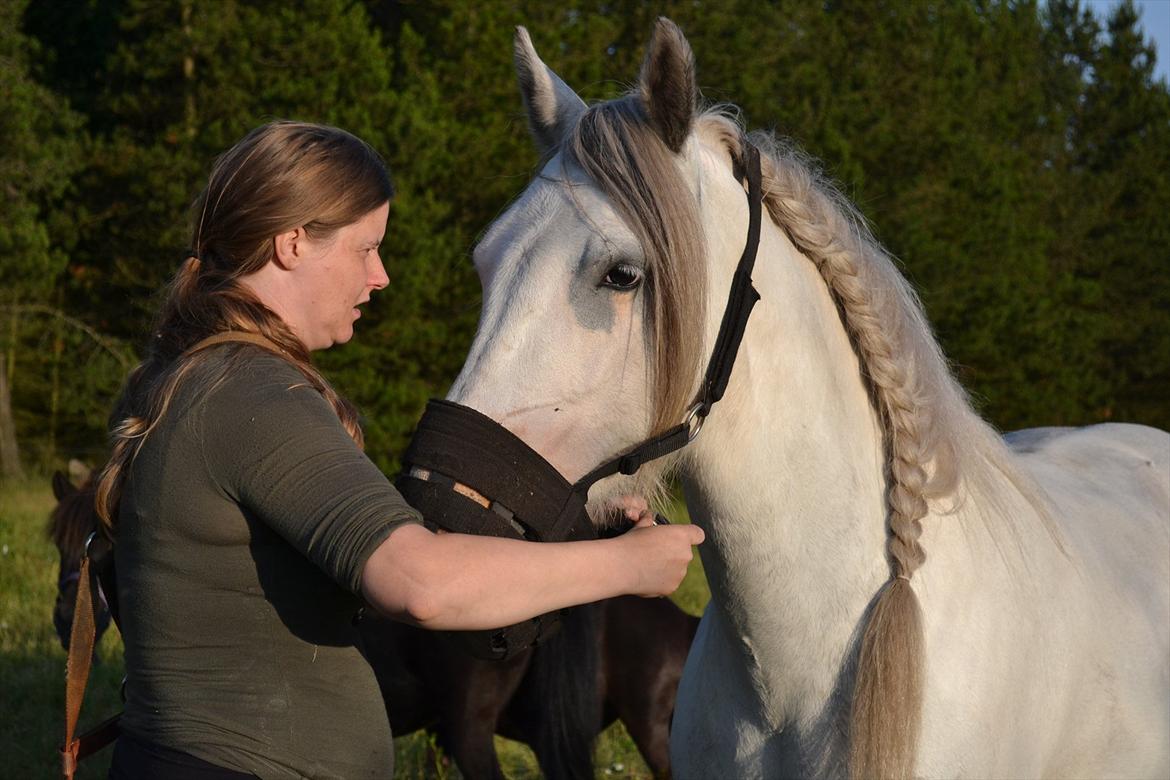 montana nye hjem i simmelkær billede 83