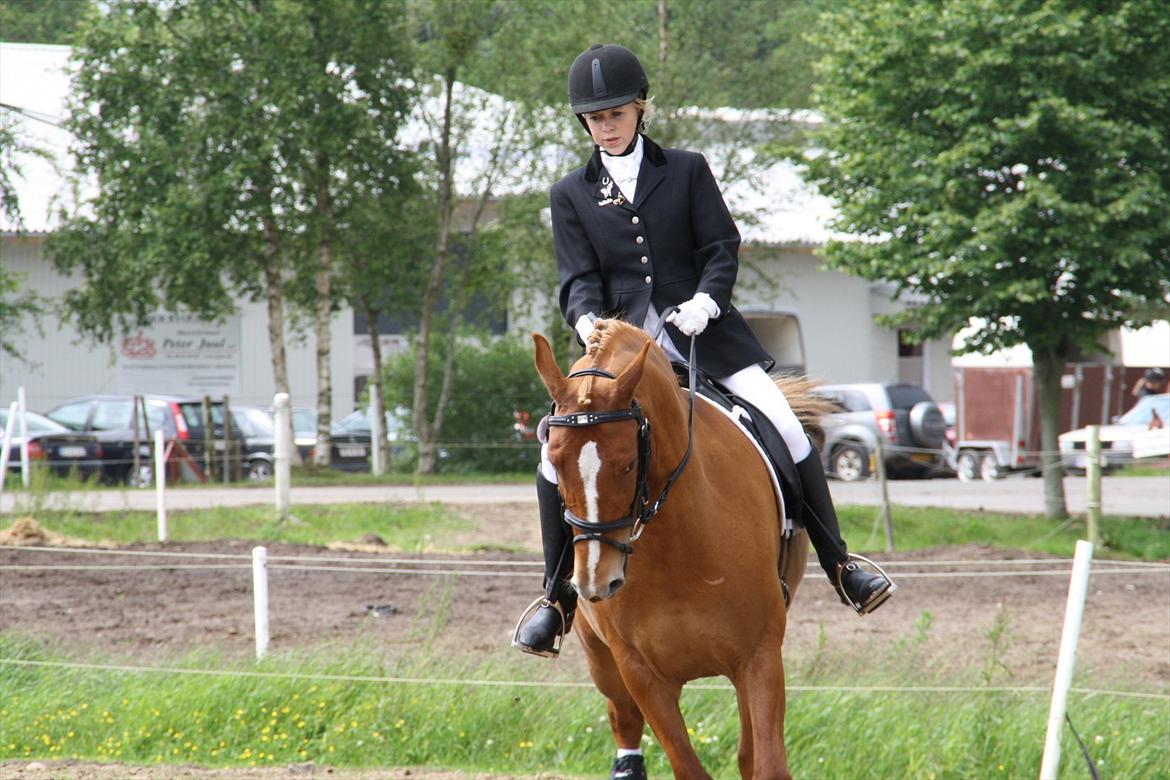 brønderslev rideklub 2 plads lc1 billede 1