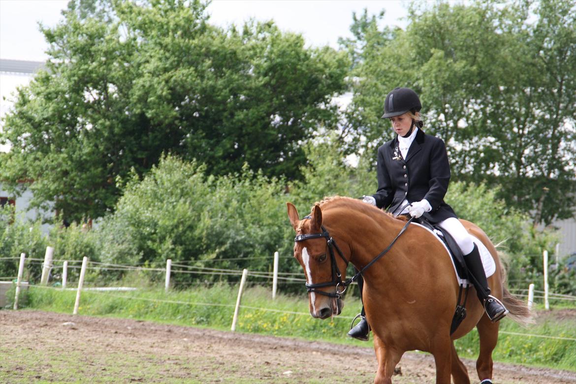 brønderslev rideklub 2 plads lc1 billede 2