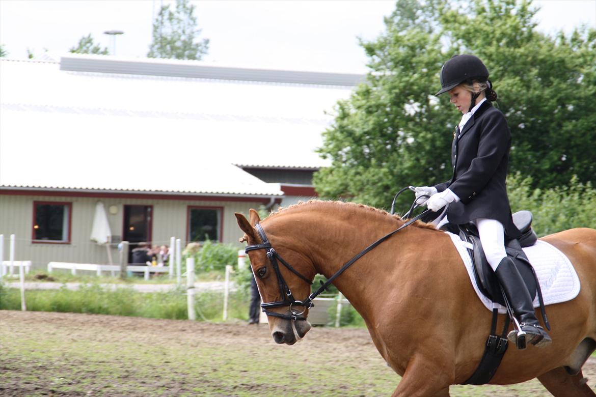 brønderslev rideklub 2 plads lc1 billede 3
