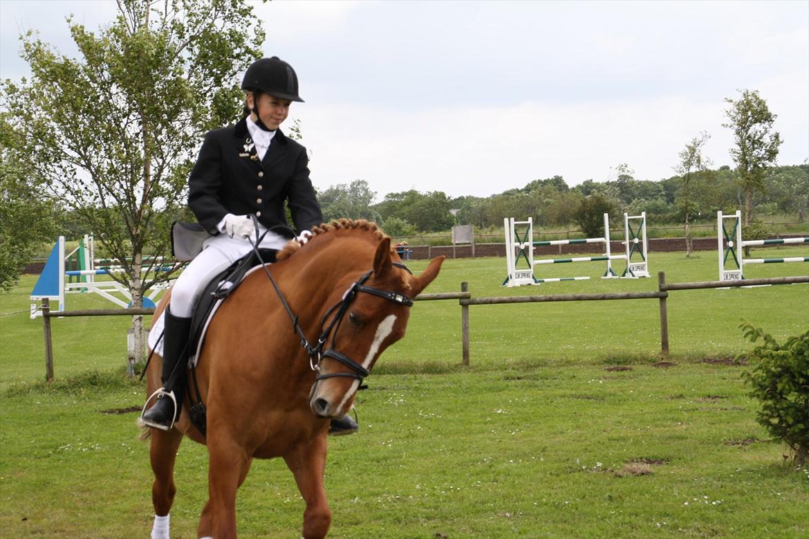 brønderslev rideklub 2 plads lc1 billede 4