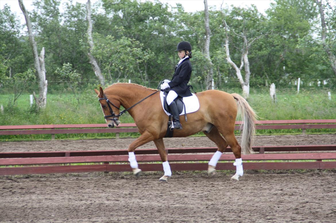 brønderslev rideklub 2 plads lc1 billede 5