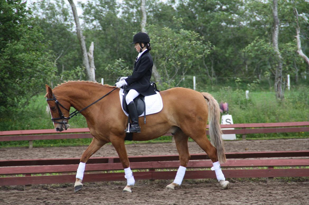 brønderslev rideklub 2 plads lc1 billede 6