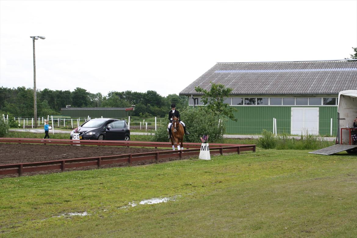 brønderslev rideklub 2 plads lc1 billede 7