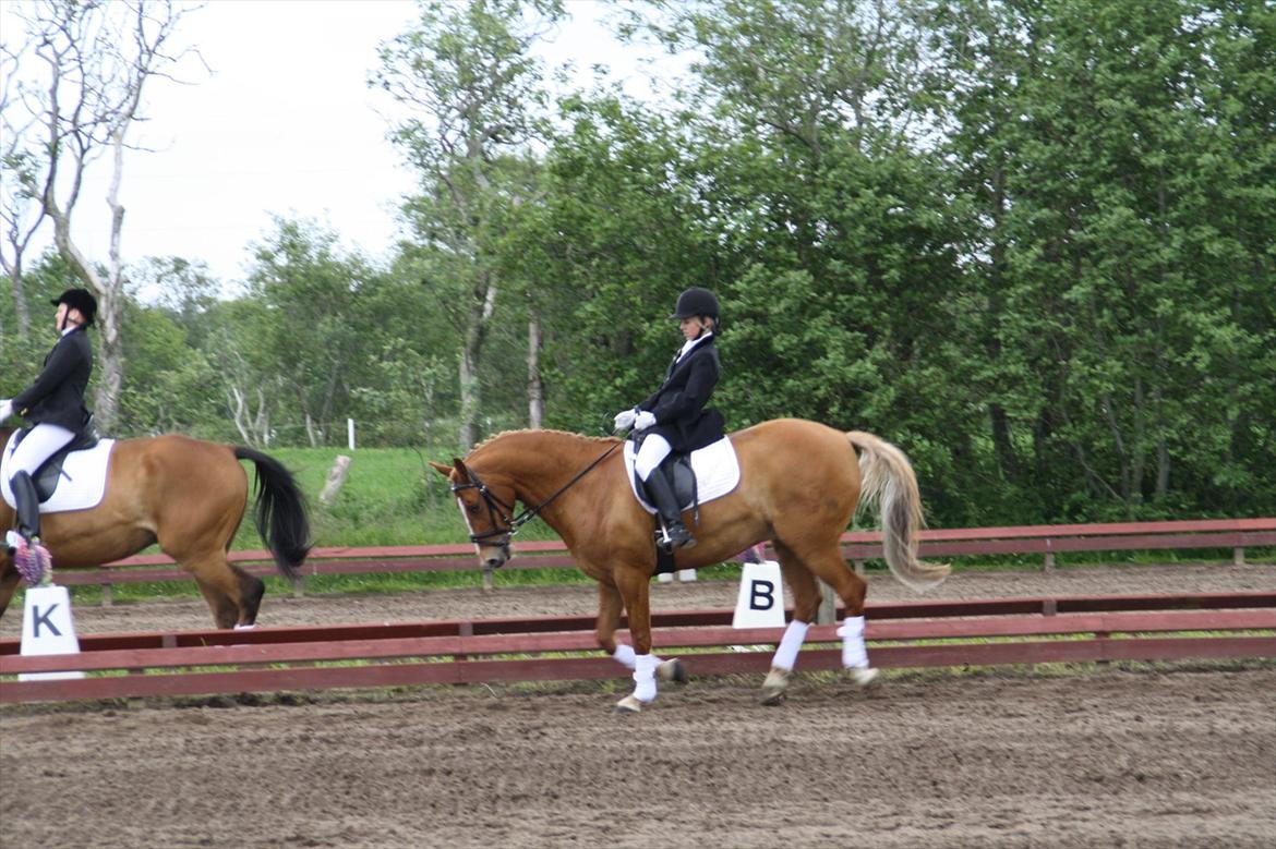 brønderslev rideklub 2 plads lc1 billede 10
