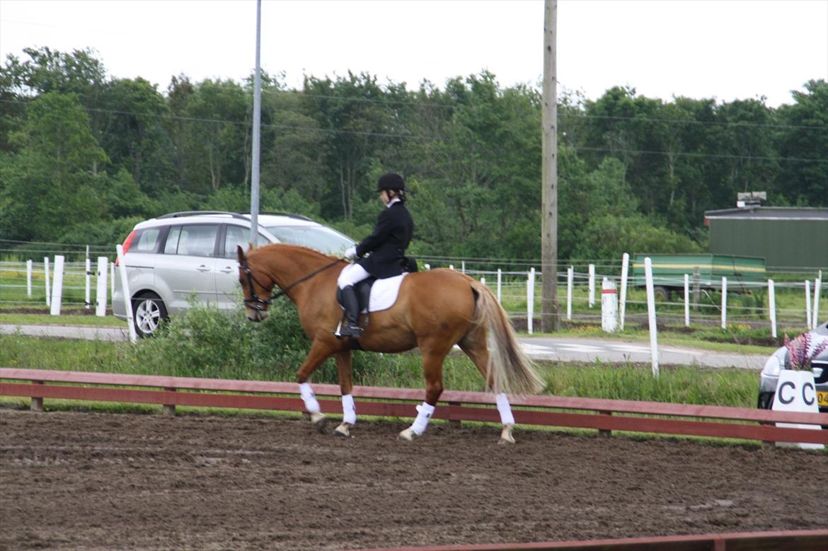 brønderslev rideklub 2 plads lc1 billede 11