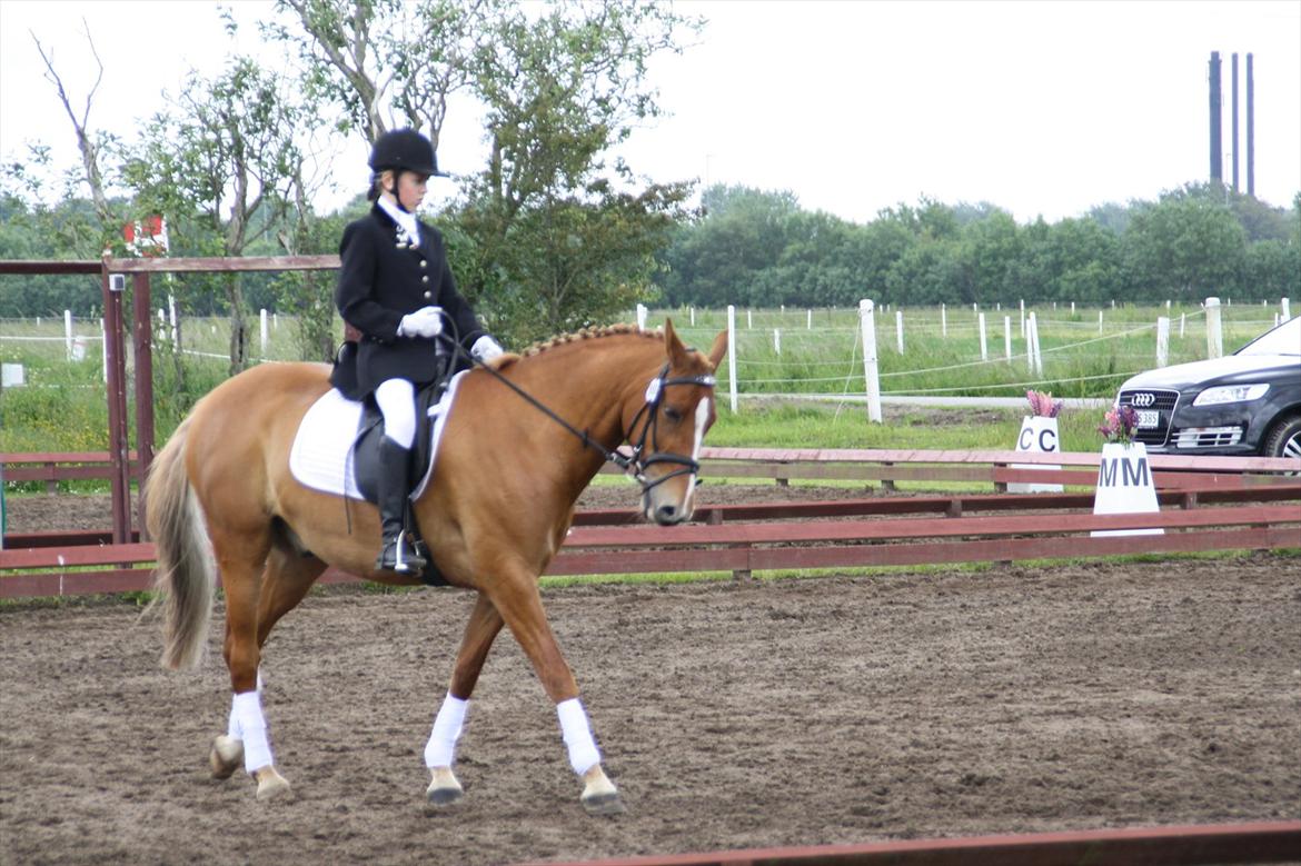 brønderslev rideklub 2 plads lc1 billede 12