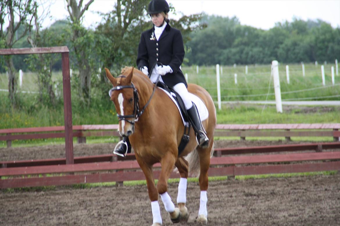 brønderslev rideklub 2 plads lc1 billede 13