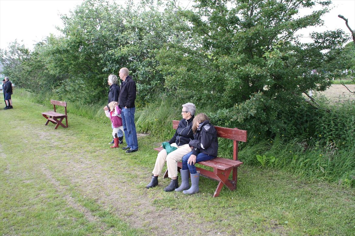 brønderslev rideklub 2 plads lc1 billede 17