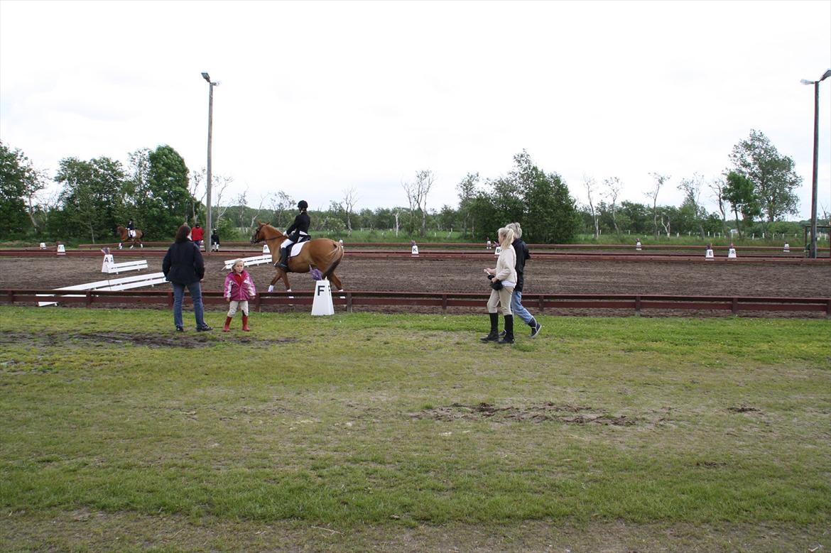 brønderslev rideklub 2 plads lc1 billede 18