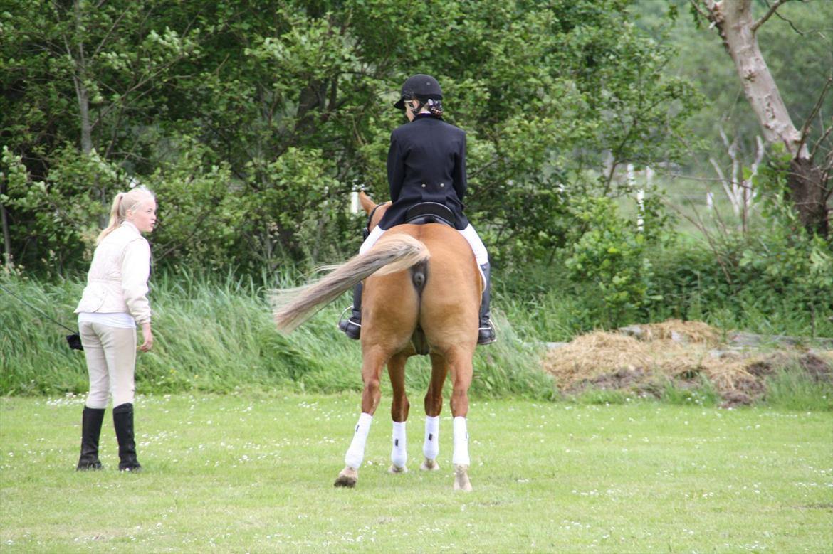 brønderslev rideklub 2 plads lc1 billede 19