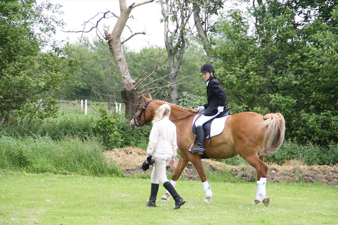 brønderslev rideklub 2 plads lc1 billede 20