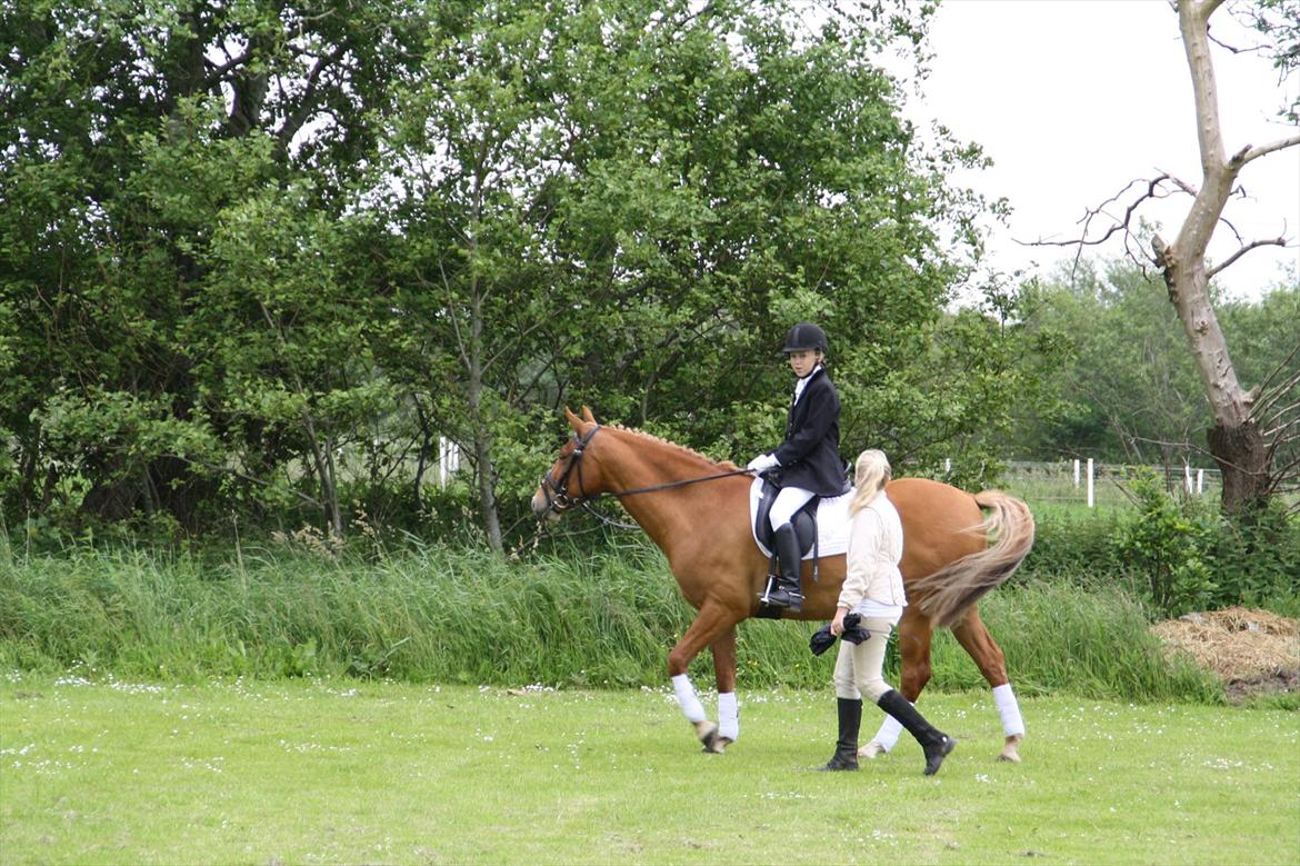 brønderslev rideklub 2 plads lc1 billede 21