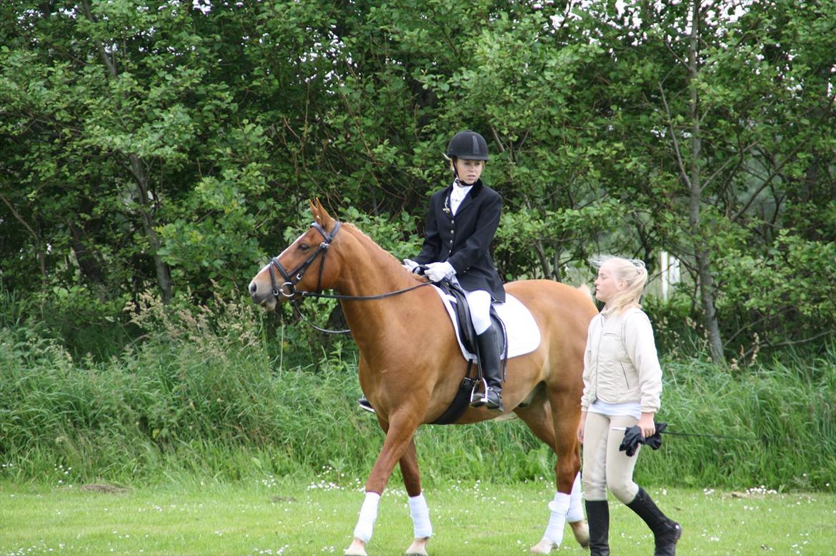 brønderslev rideklub 2 plads lc1 billede 22