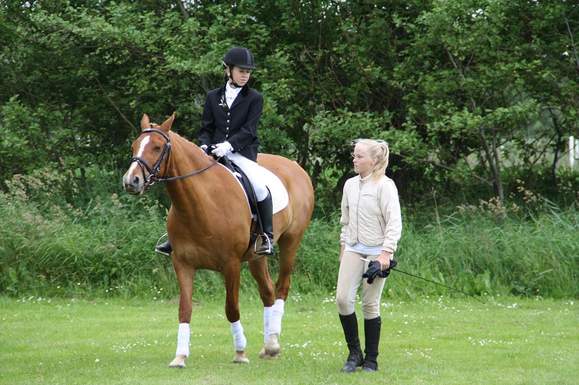 brønderslev rideklub 2 plads lc1 billede 23