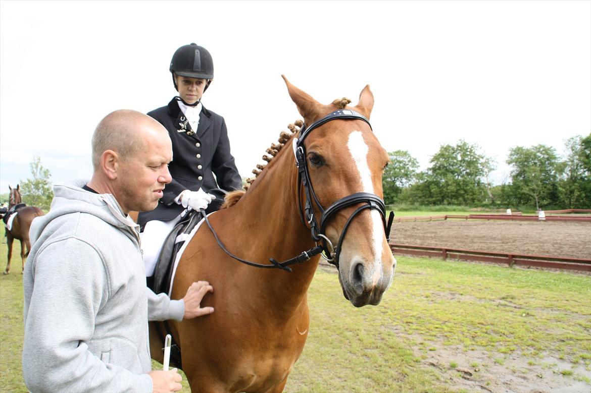 brønderslev rideklub 2 plads lc1 billede 24