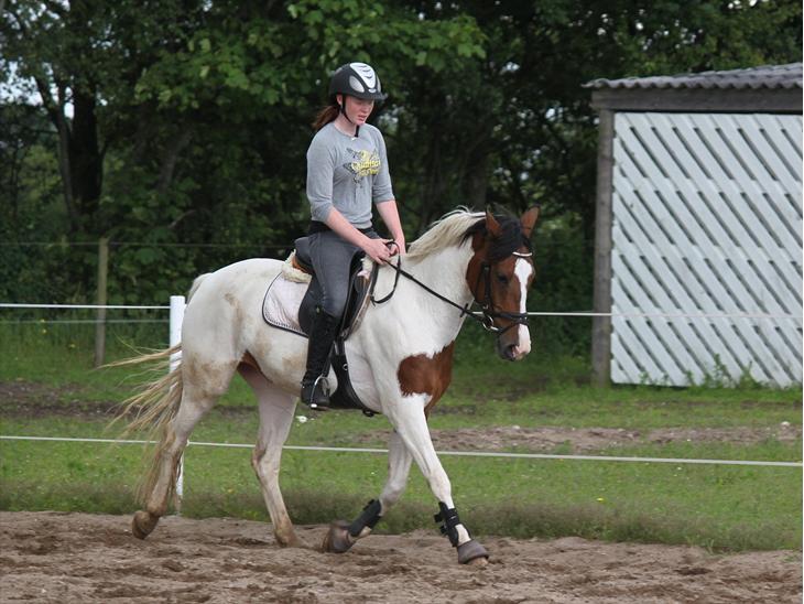 {{currentPhoto.altText}} billede {{currentPhoto.number}}