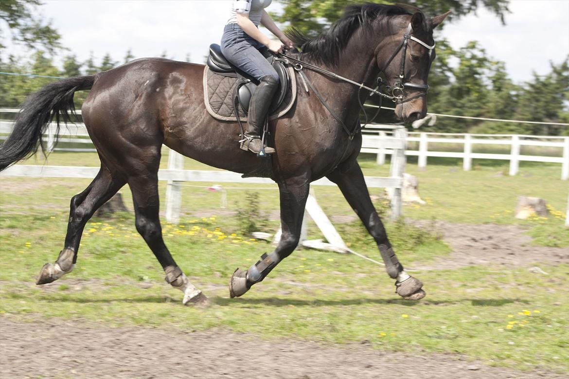 Billeder til min veninde  billede 162