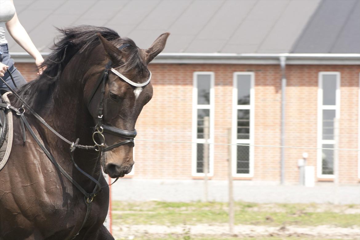 Billeder til min veninde  billede 163