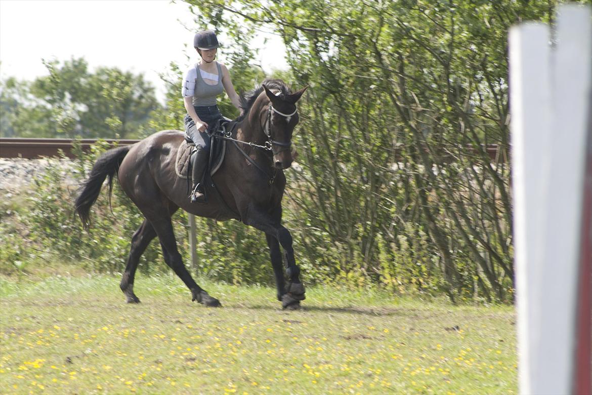 Billeder til min veninde  billede 165