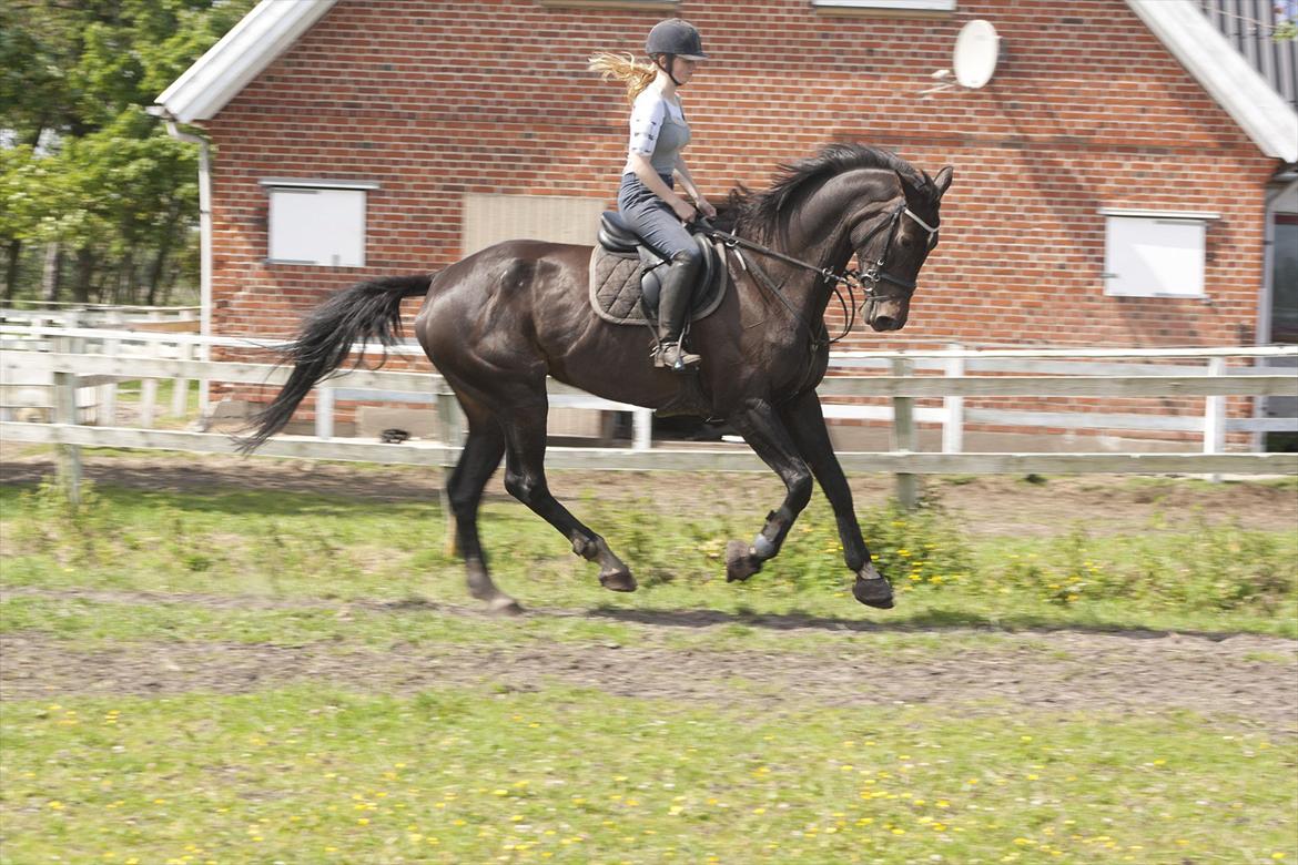 Billeder til min veninde  billede 169