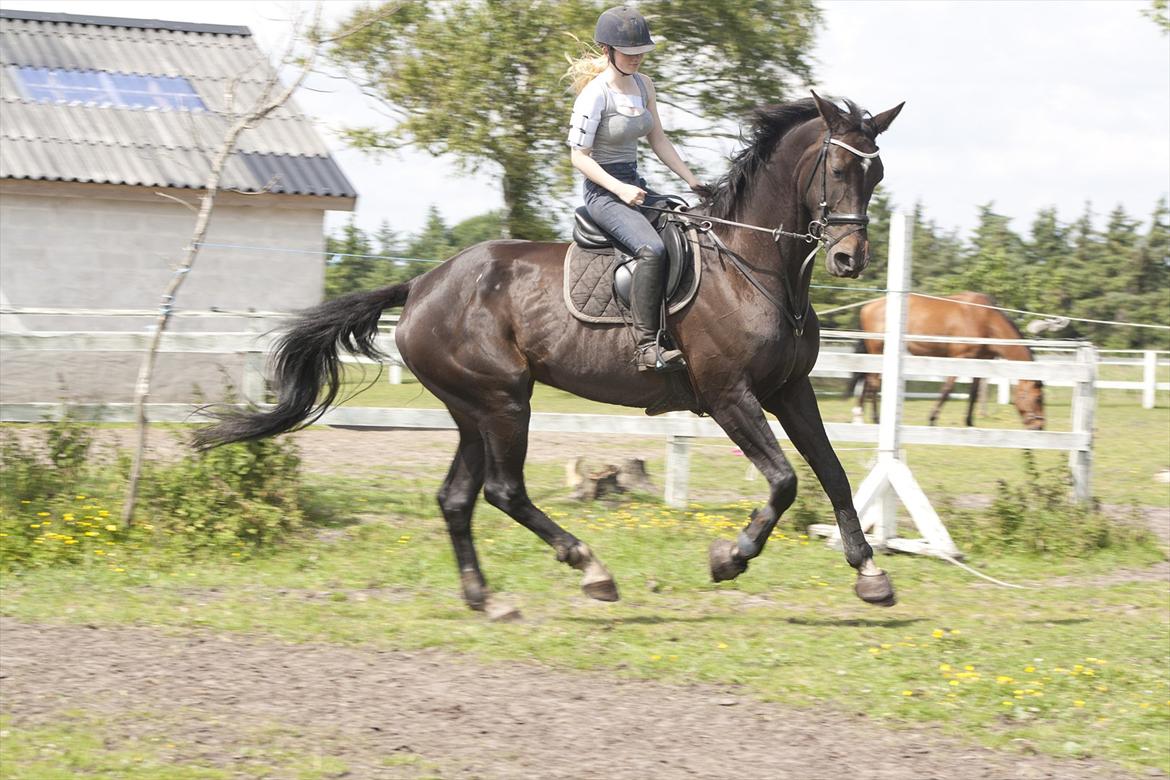 Billeder til min veninde  billede 170