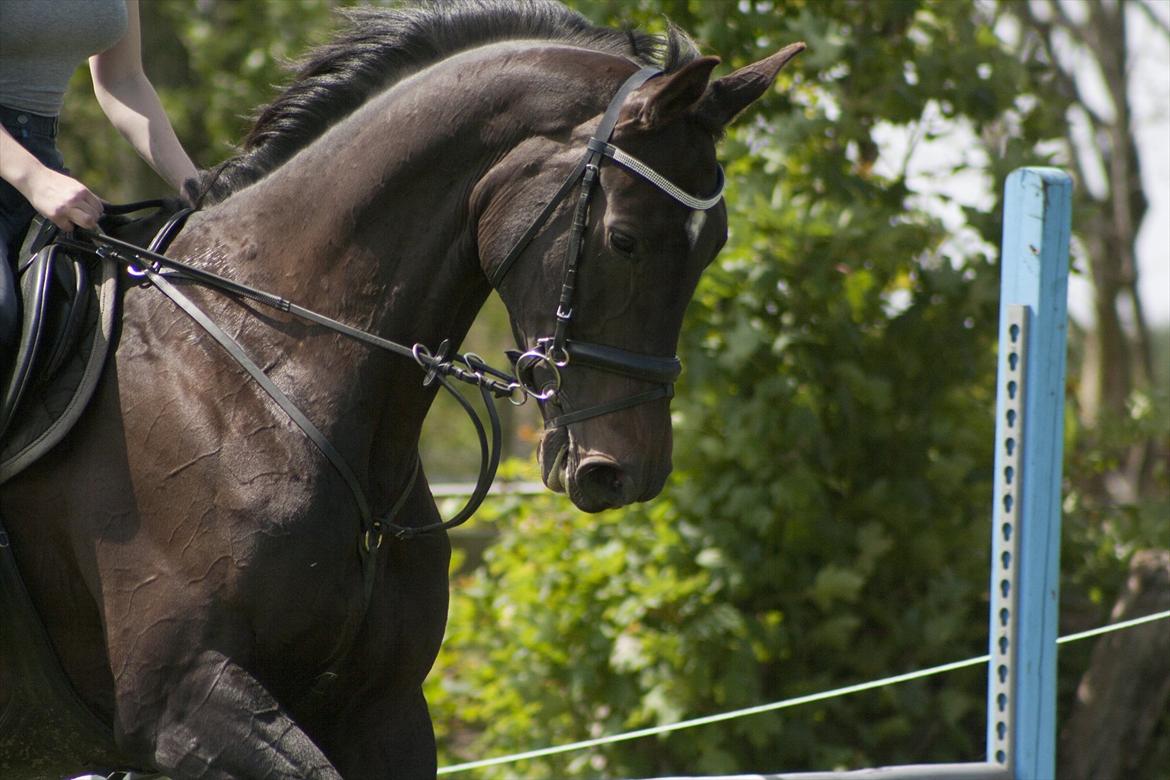 Billeder til min veninde  billede 175