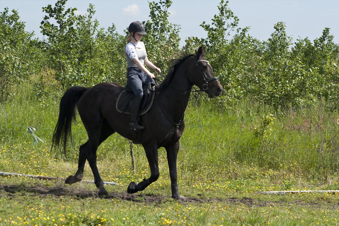 Billeder til min veninde  billede 186