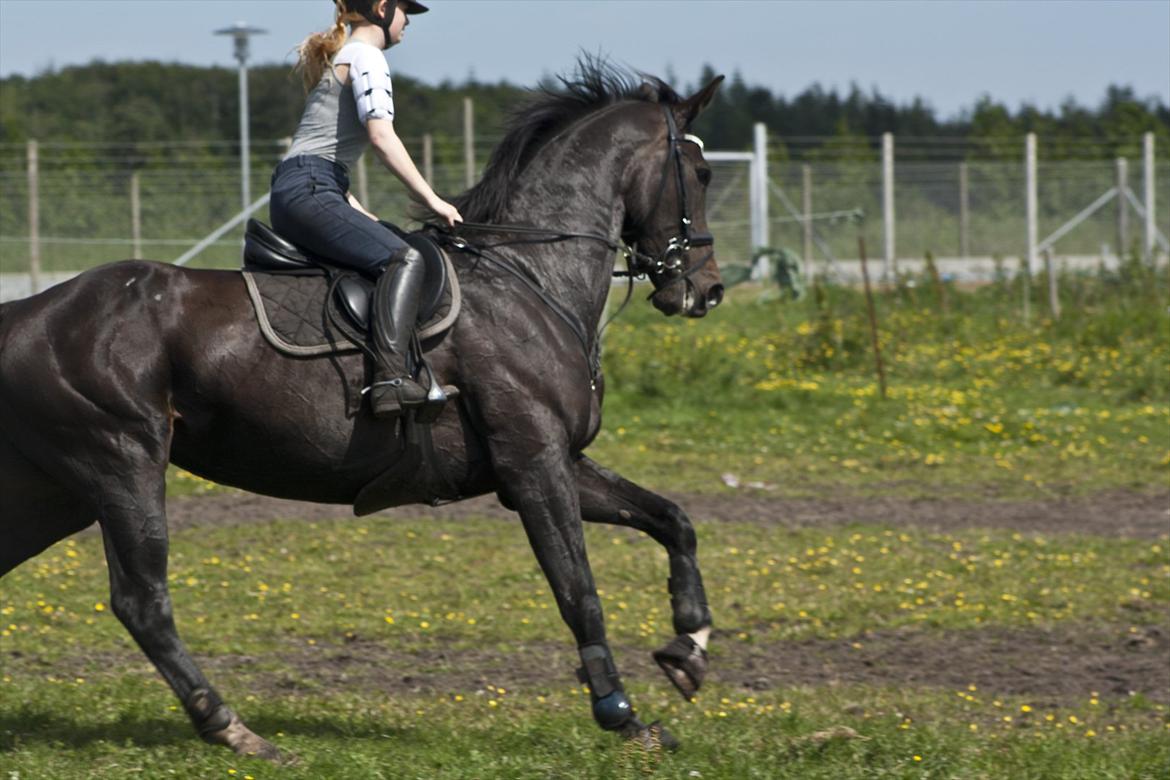 Billeder til min veninde  billede 191