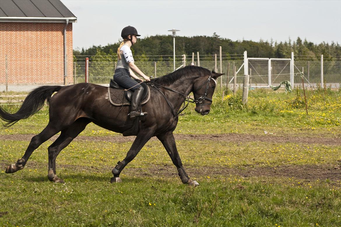 Billeder til min veninde  billede 202