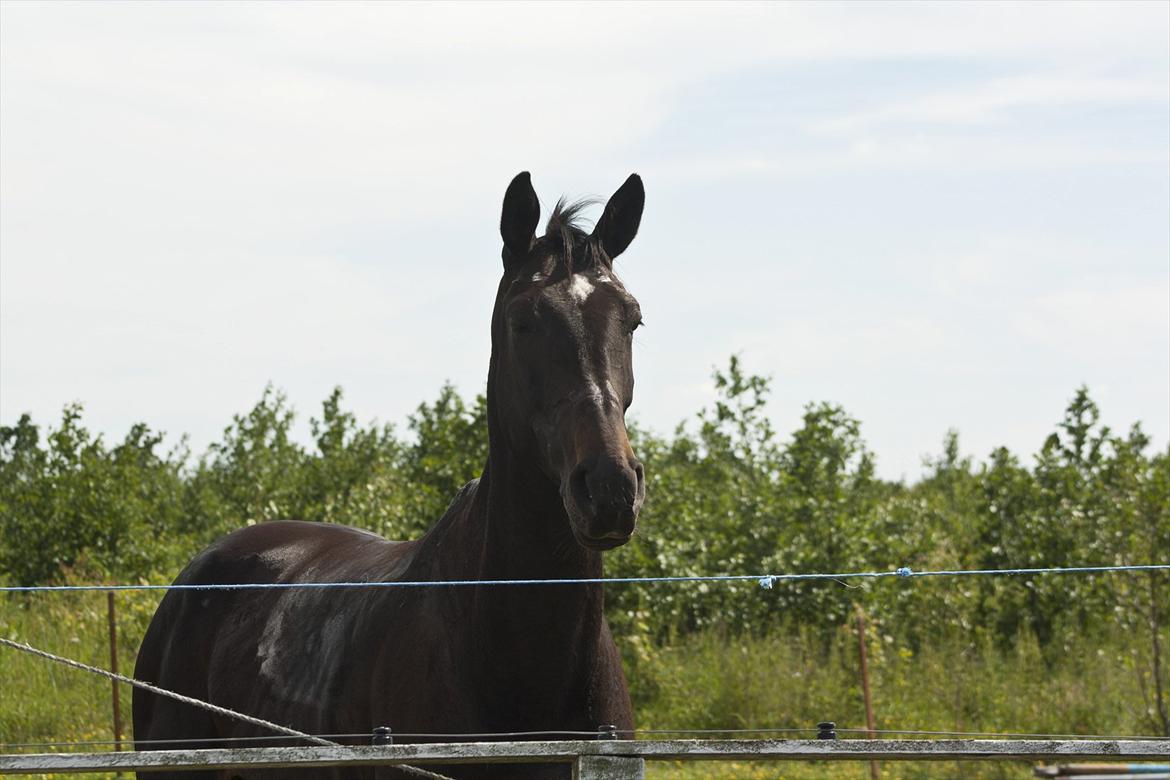 Billeder til min veninde  billede 204