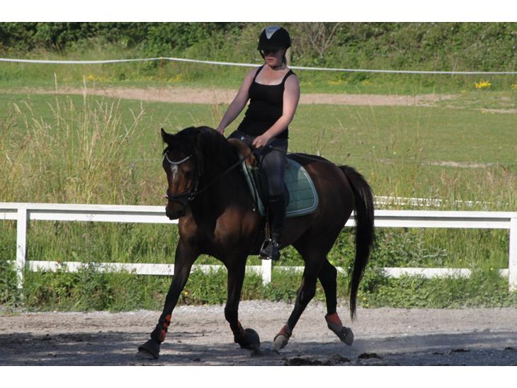 {{currentPhoto.altText}} billede {{currentPhoto.number}}