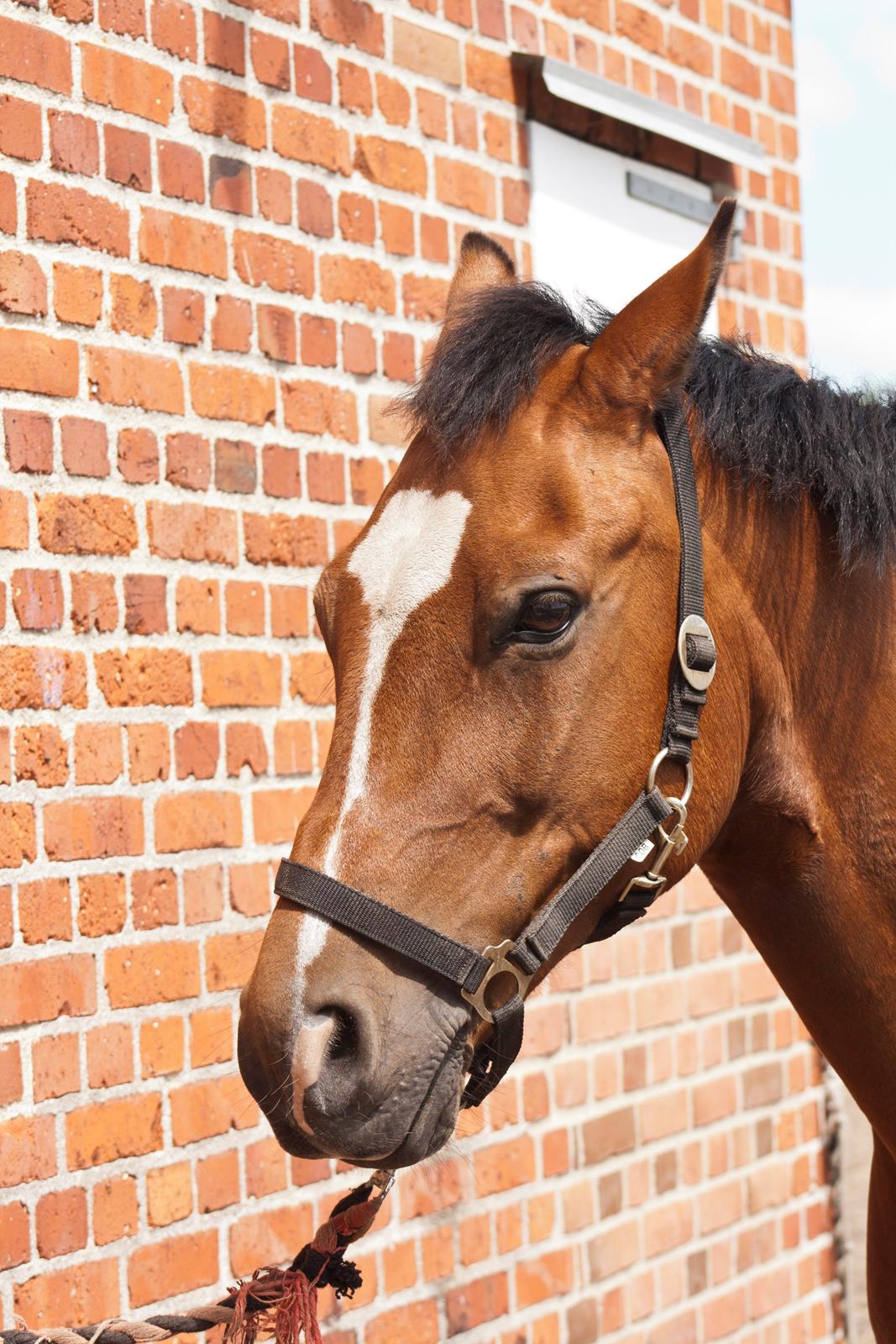 Billeder til min veninde  billede 205