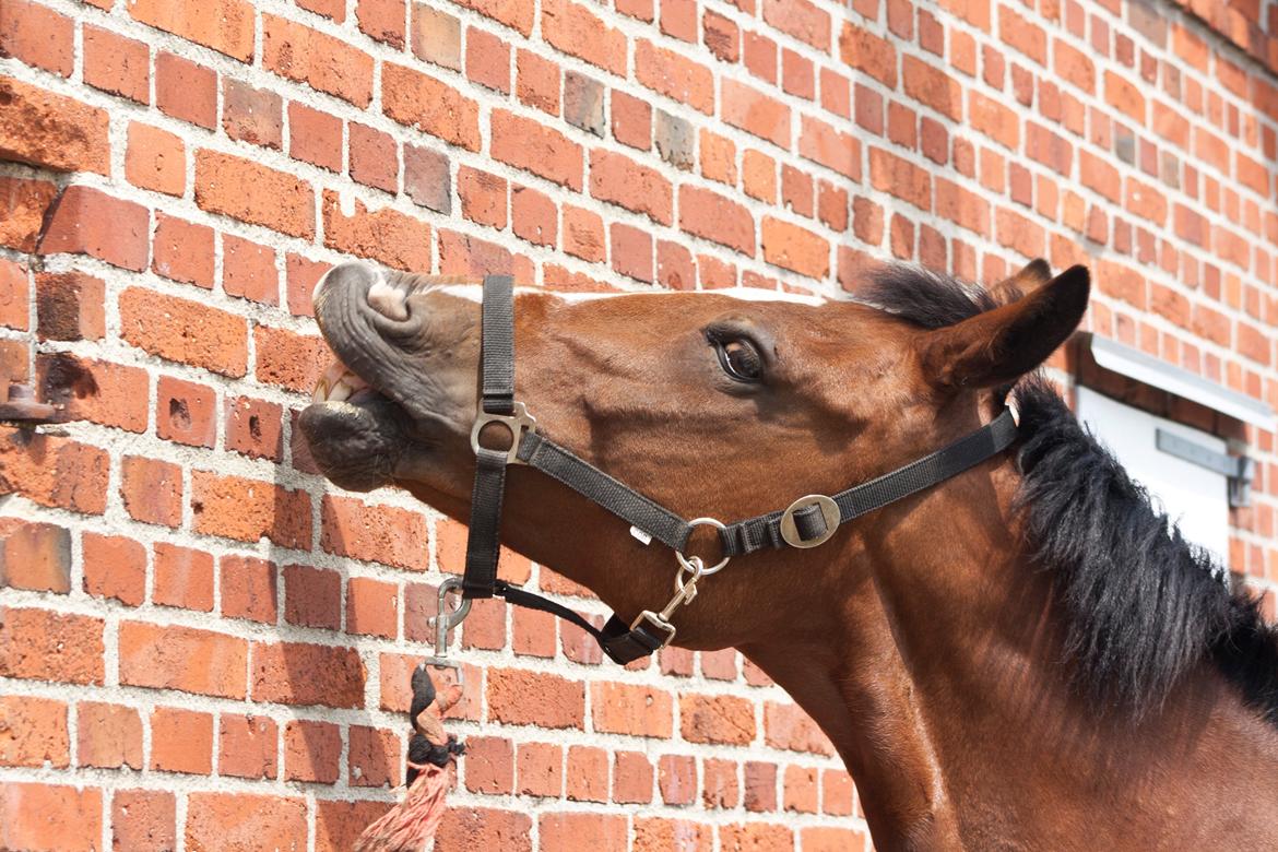 Billeder til min veninde  billede 208