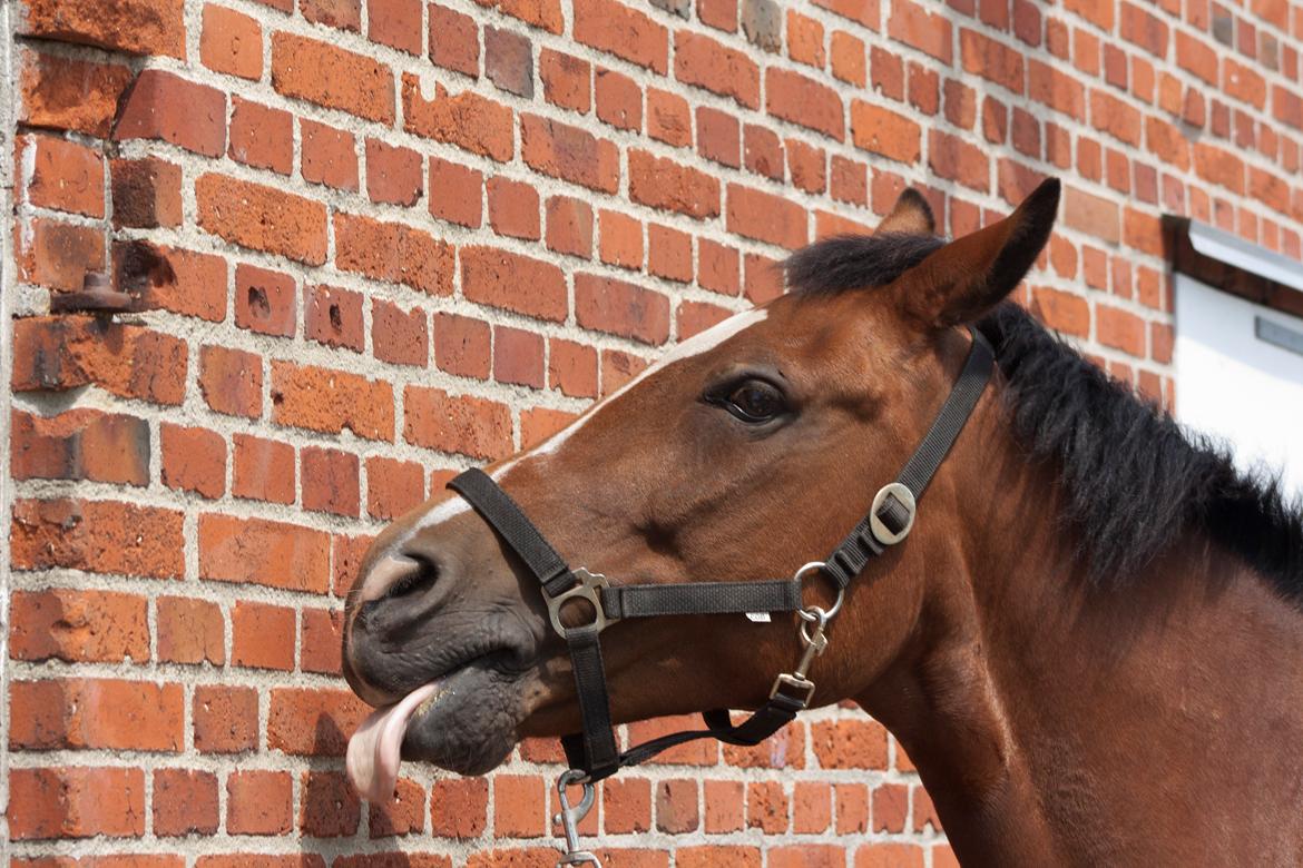 Billeder til min veninde  billede 209