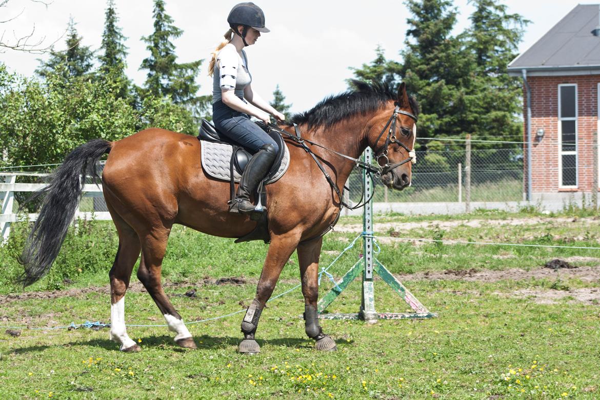 Billeder til min veninde  billede 210