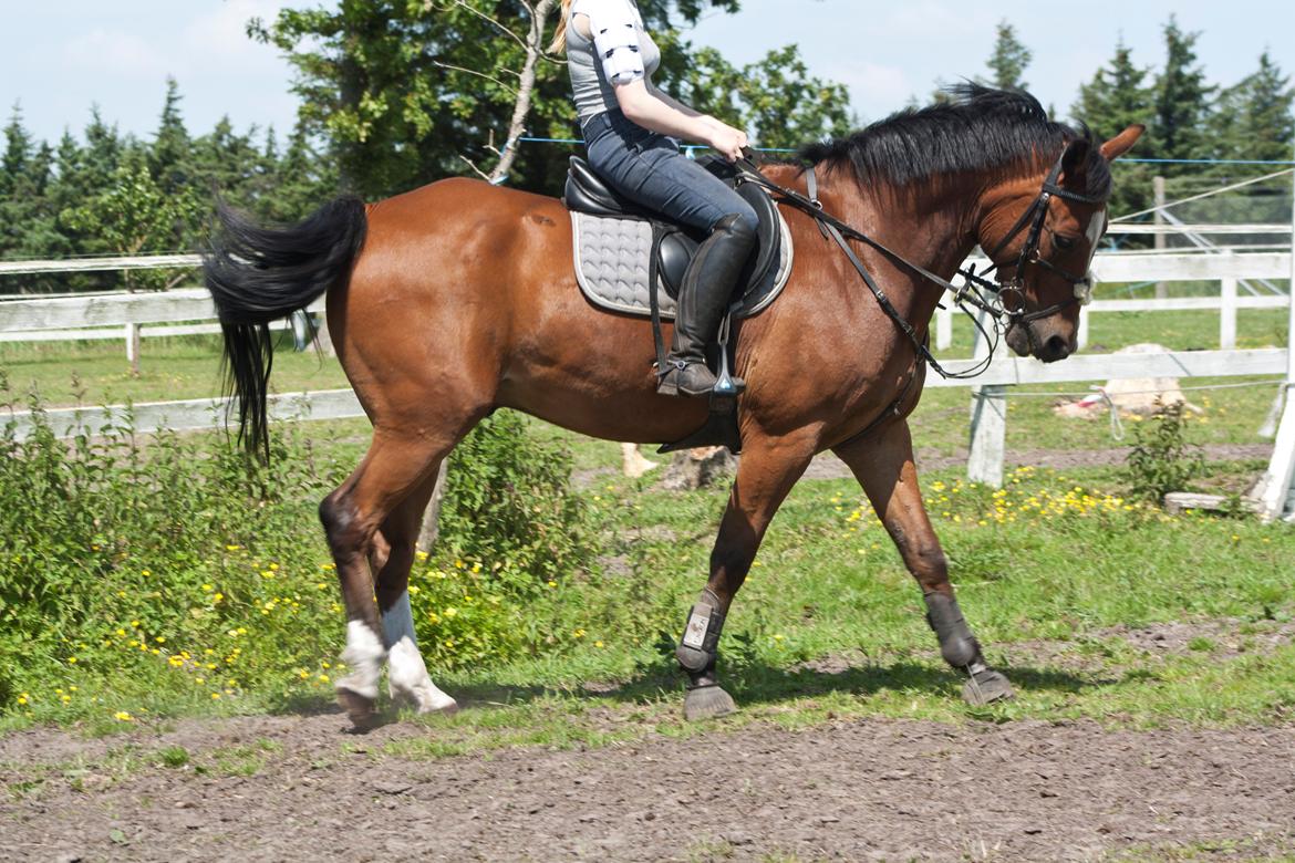 Billeder til min veninde  billede 212