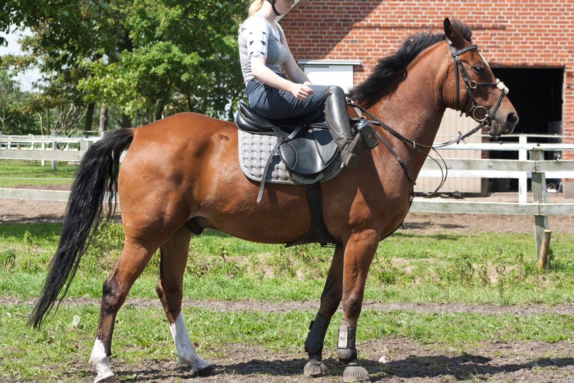 Billeder til min veninde  billede 214